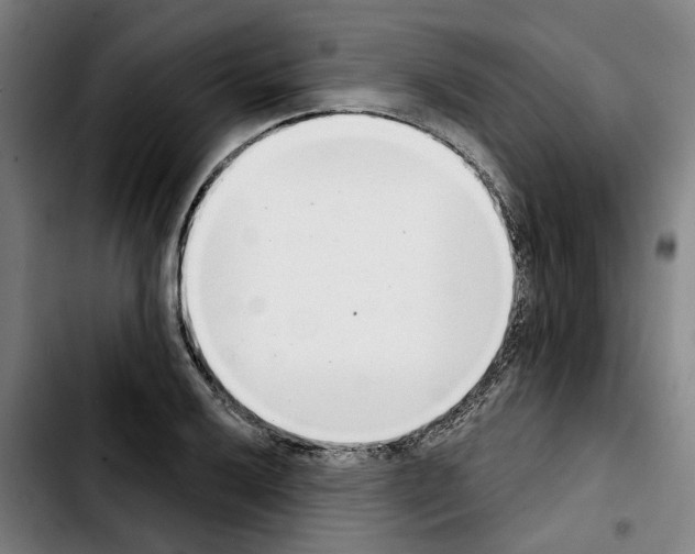 X0000103441032200810241117