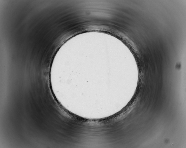 X0000103441033200810241117