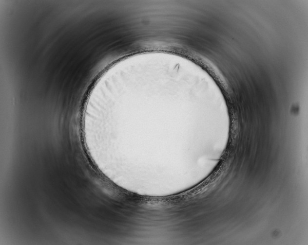 X0000103441035200810241117
