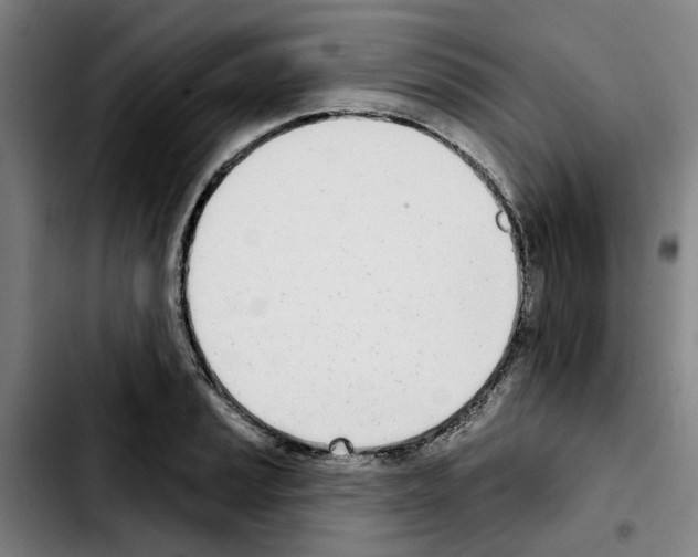 X0000103441037200810241117