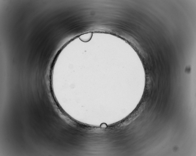 X0000103441038200810241117