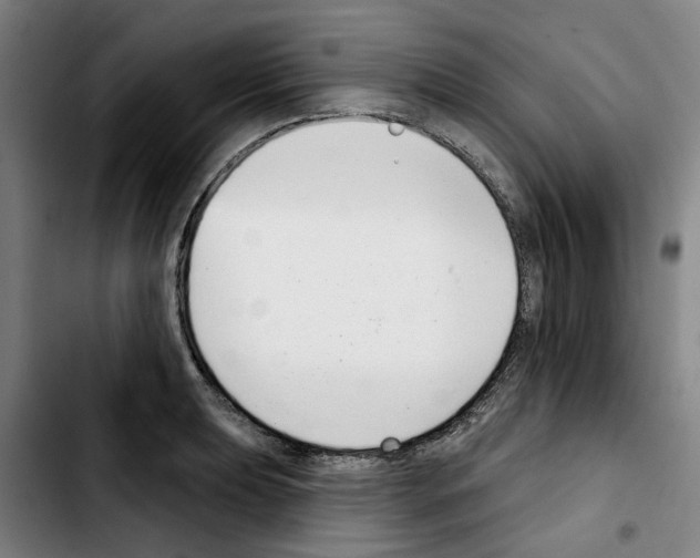 X0000103441039200810241117