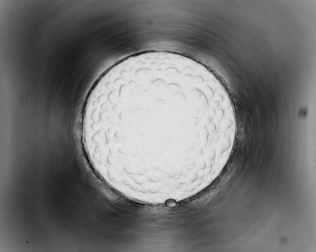 X0000103441040200810241117