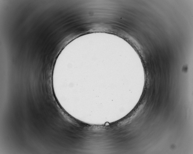 X0000103441041200810241117