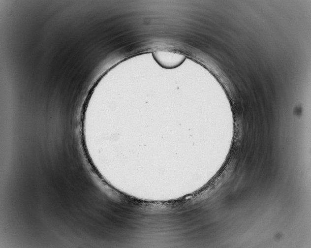 X0000103441042200810241117