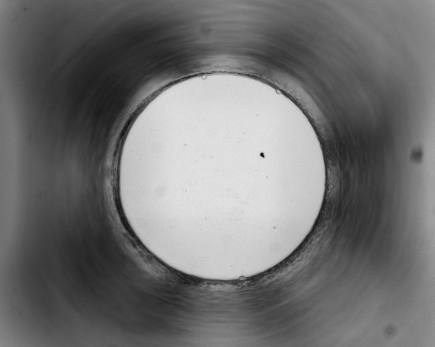 X0000103441043200810241117