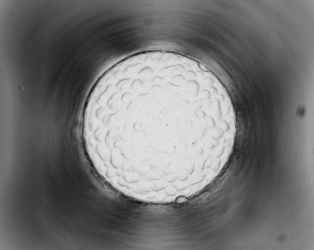X0000103441044200810241117