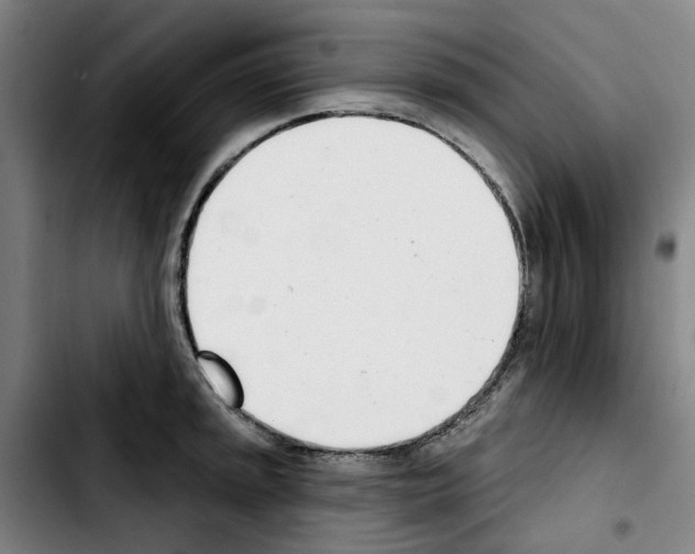 X0000103441045200810241117