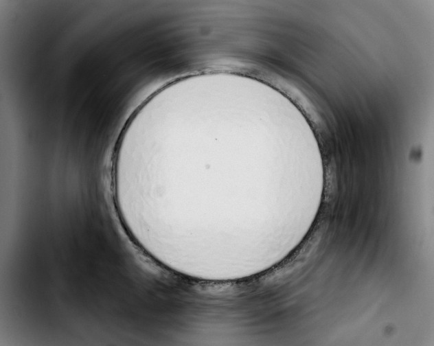 X0000103441047200810241117