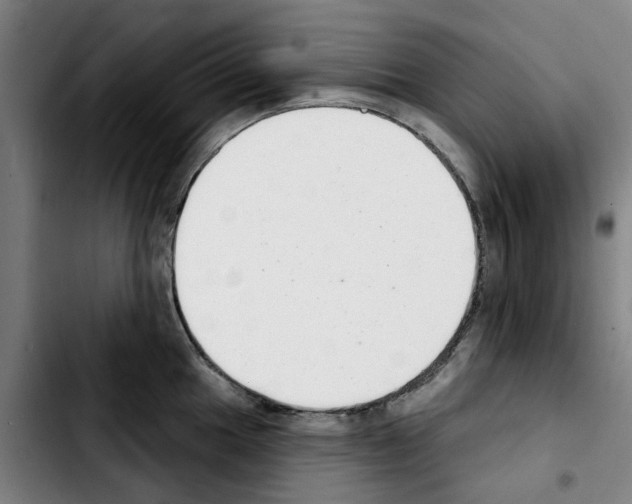 X0000103441049200810241117