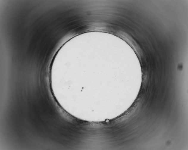 X0000103441050200810241117