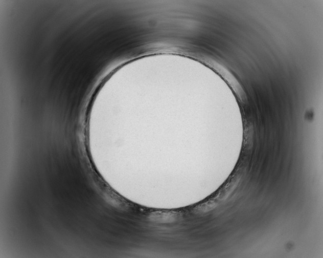X0000103441051200810241117