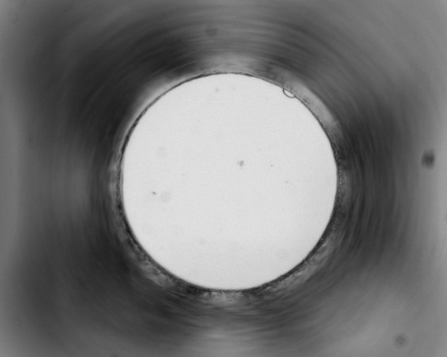 X0000103441052200810241117