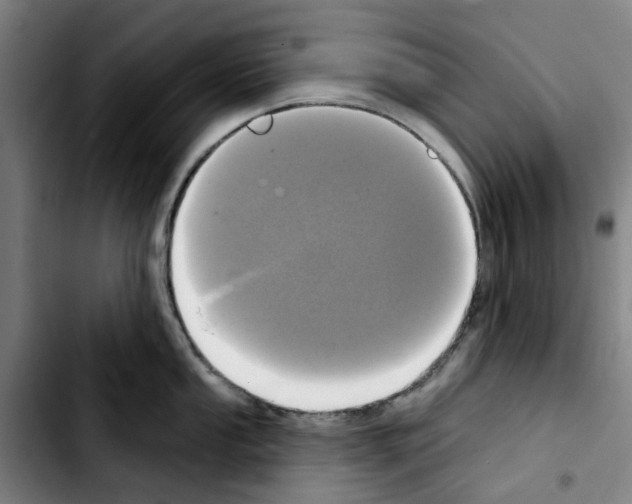 X0000103441053200810241117