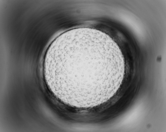 X0000103441054200810241117