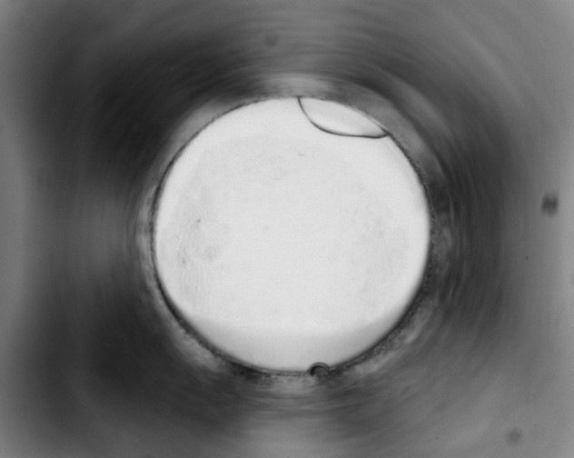 X0000103441055200810241117