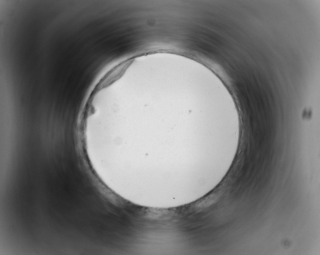 X0000103441056200810241117