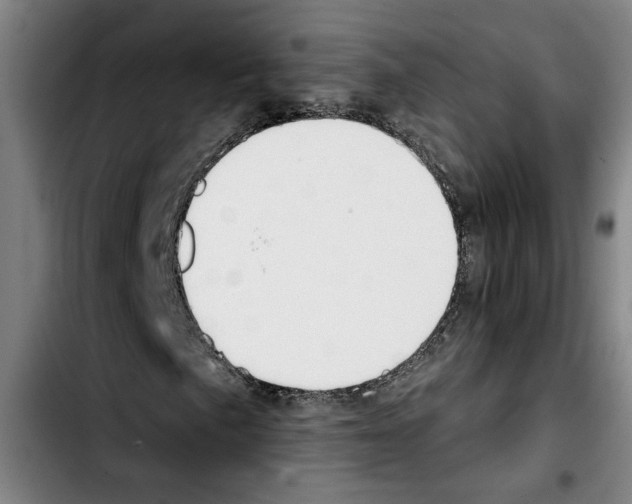 X0000103441057200810241116