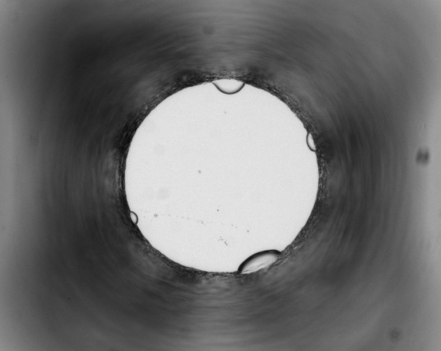 X0000103441058200810241116
