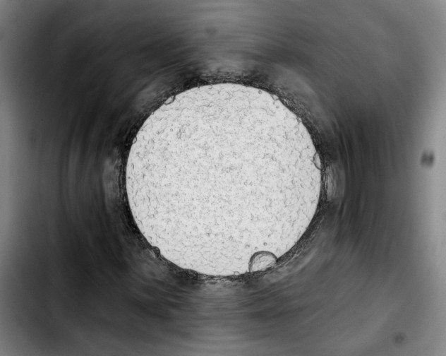 X0000103441059200810241116
