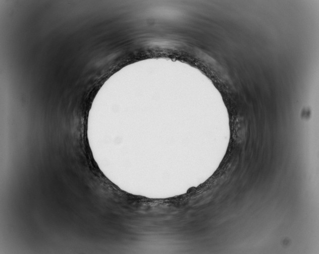 X0000103441061200810241116