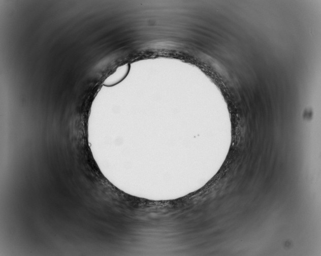 X0000103441062200810241116