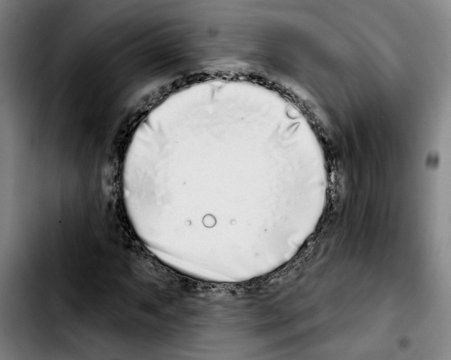 X0000103441063200810241116