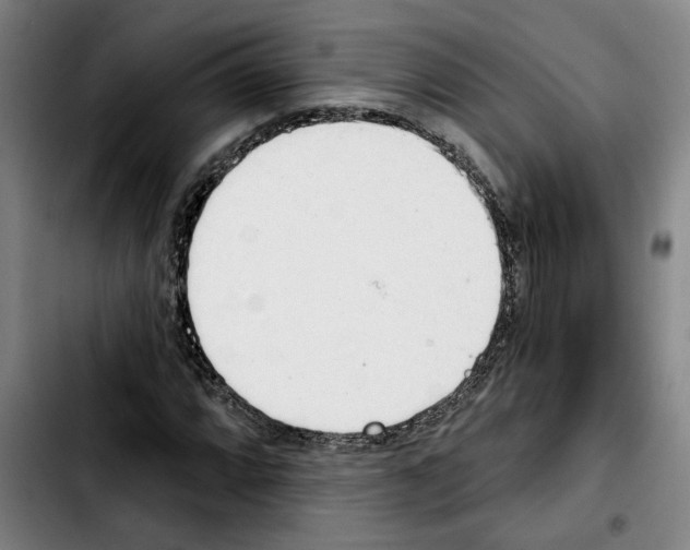 X0000103441064200810241116