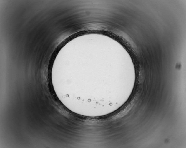 X0000103441065200810241116