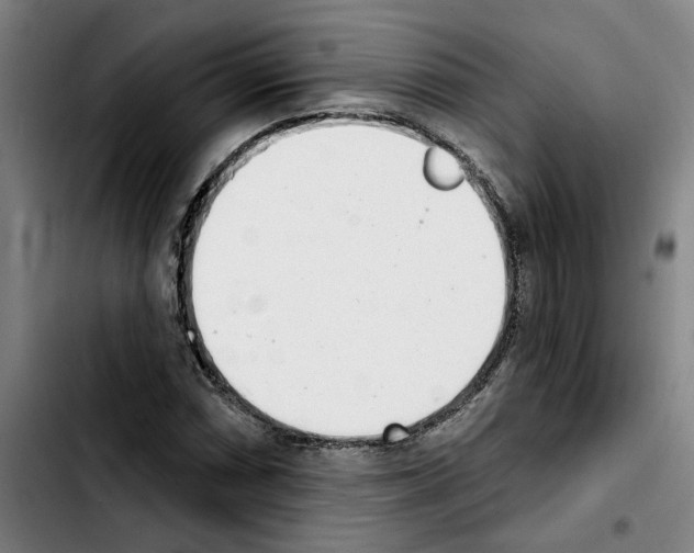 X0000103441066200810241116