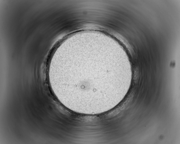 X0000103441067200810241116