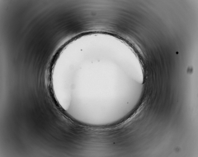 X0000103441069200810241116