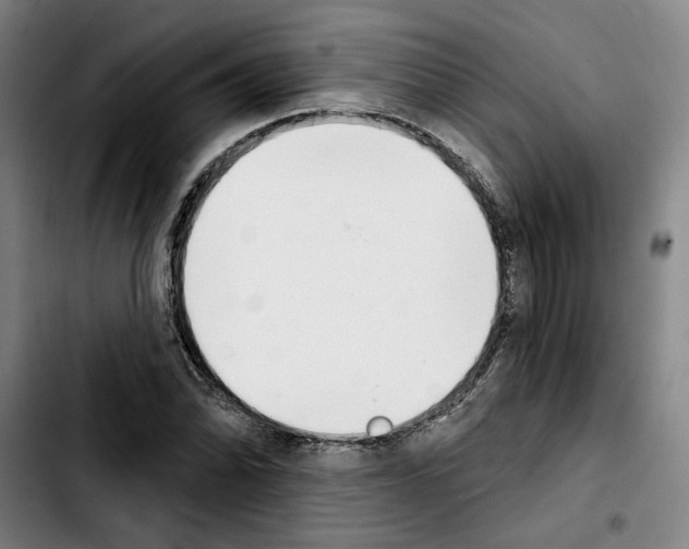 X0000103441070200810241116