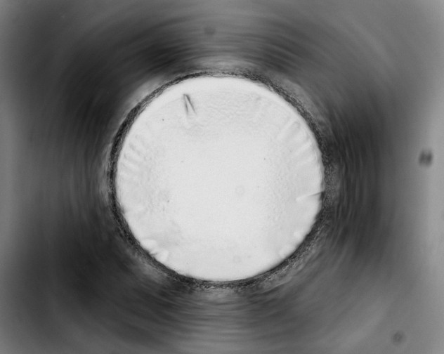 X0000103441071200810241116