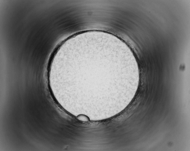 X0000103441072200810241116