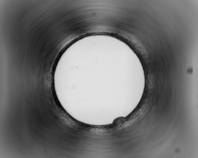 X0000103441073200810241116