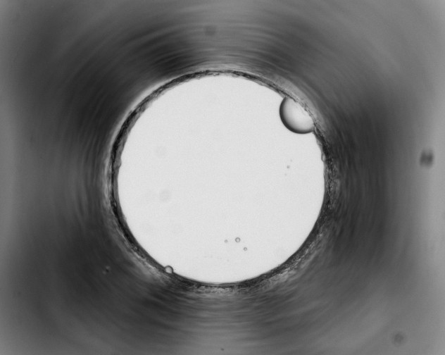 X0000103441076200810241116