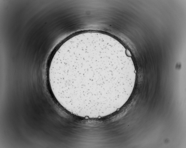 X0000103441077200810241116