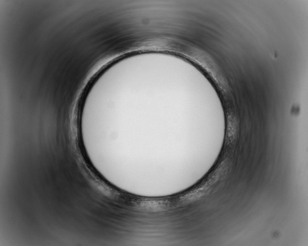 X0000103441078200810241116