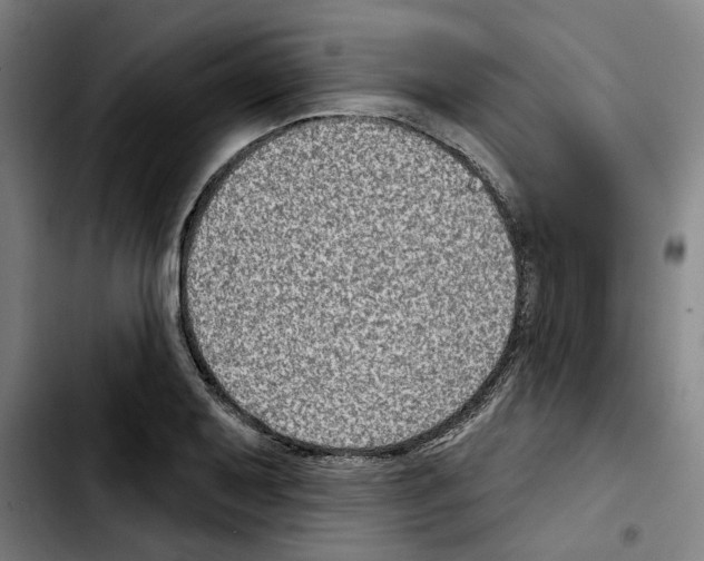X0000103441079200810241116