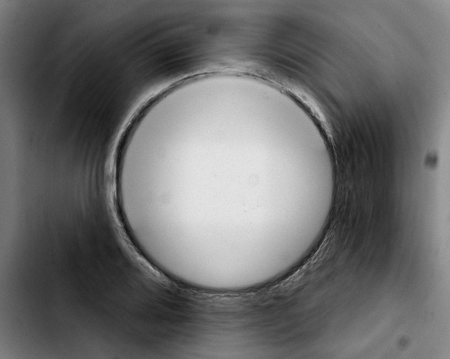 X0000103441080200810241116