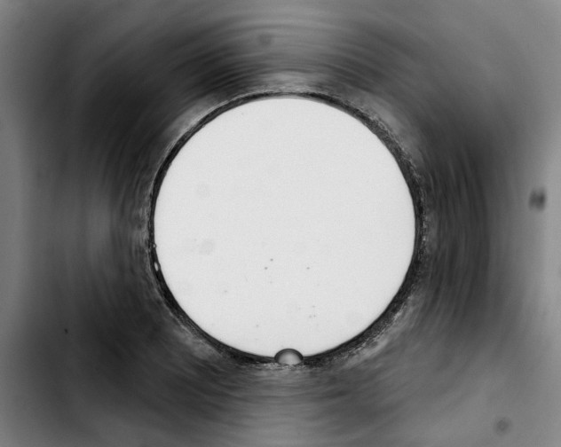 X0000103441081200810241116