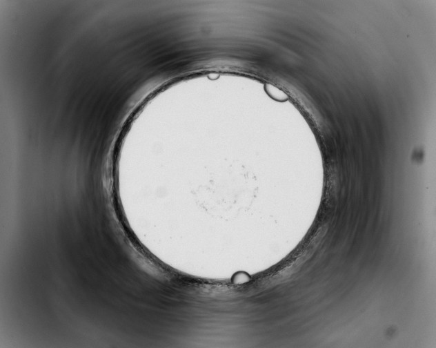 X0000103441082200810241116