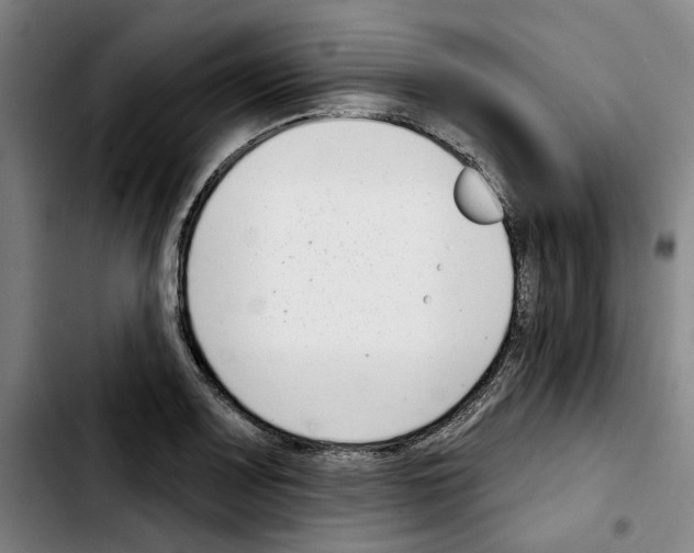 X0000103441083200810241116