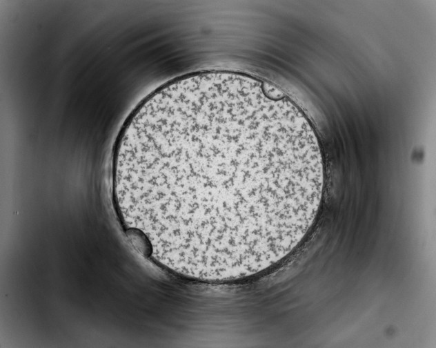 X0000103441084200810241116