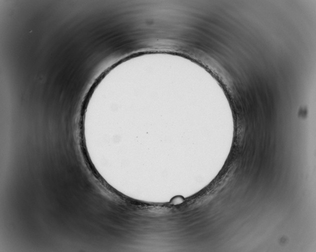 X0000103441085200810241116