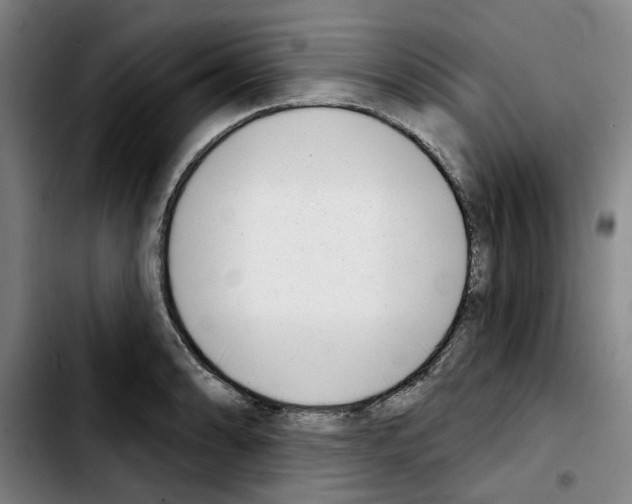 X0000103441086200810241116