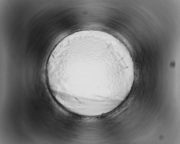 X0000103441087200810241116