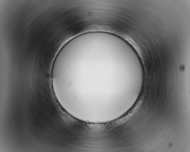 X0000103441089200810241116