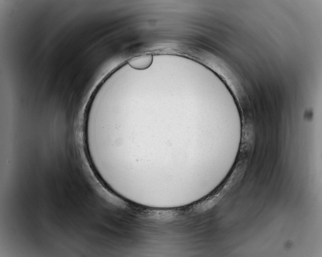 X0000103441090200810241116